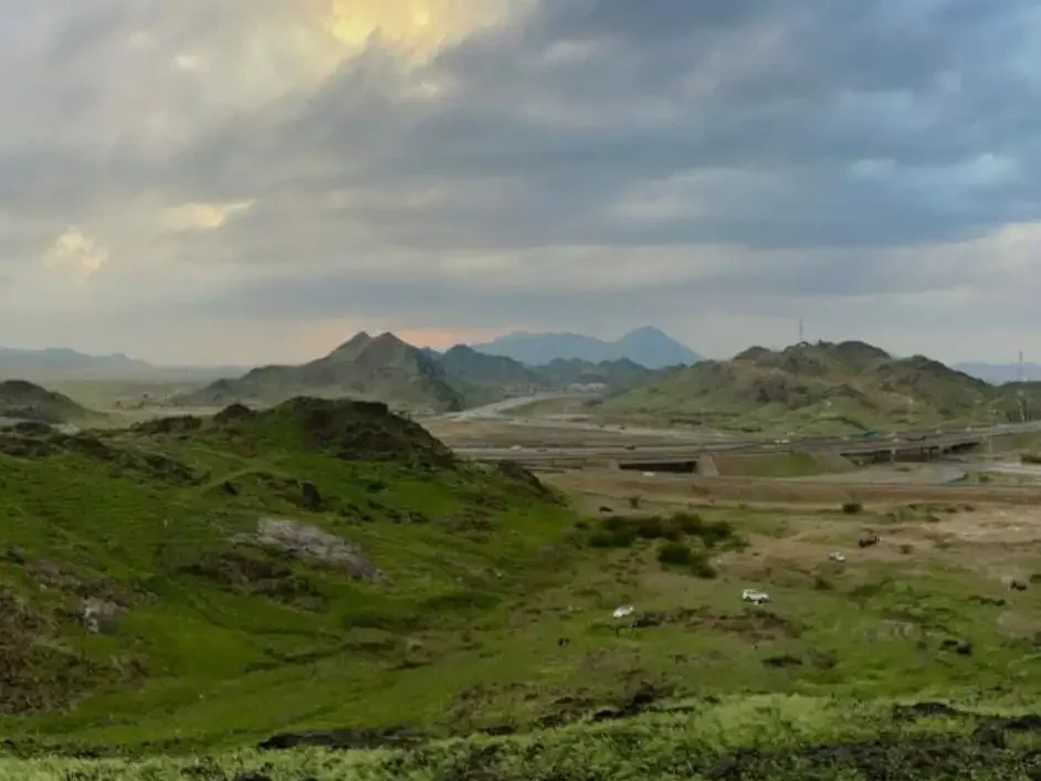 NASA Sees Fields of Green Spring up in Saudi Arabia